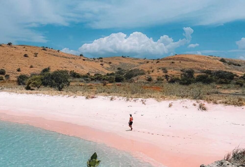 Pantai Pink