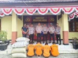 Pencuri Padi dan Pupuk
