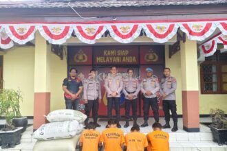 Pencuri Padi dan Pupuk