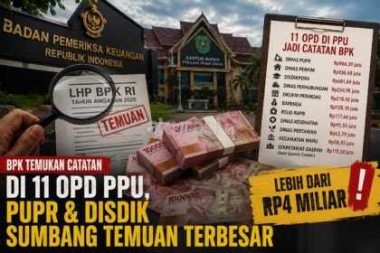 BPK Buka Deretan Temuan di 11 OPD PPU
