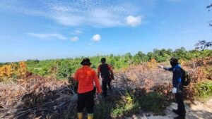 Pemkabaran Lahan di PPU