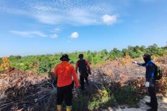 Pemkabaran Lahan di PPU