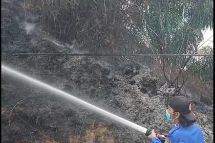 Kebakaran Lahan di PPU
