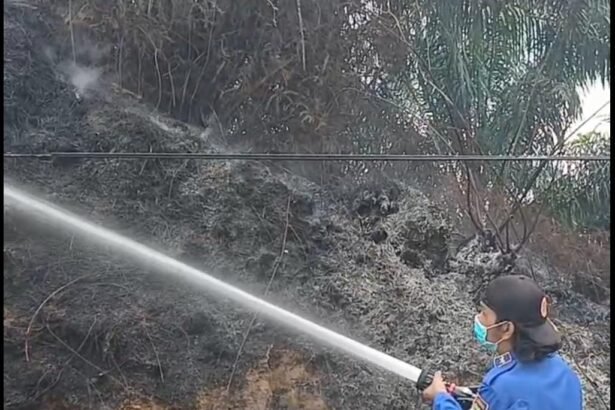 Kebakaran Lahan di PPU
