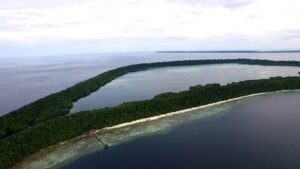 Pulau Kakaban, Surga Wisata Alam Kalimantan Timur dengan Danau Ubur-Ubur Tak Menyengat