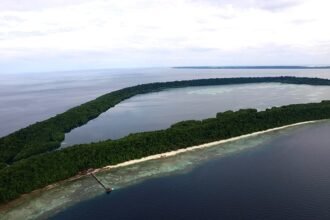 Pulau Kakaban, Surga Wisata Alam Kalimantan Timur dengan Danau Ubur-Ubur Tak Menyengat