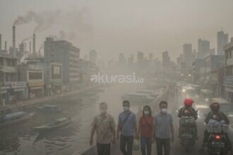 Kalimantan Mulai Diselimuti Asap