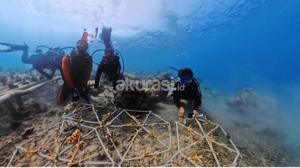 Pulau Miang