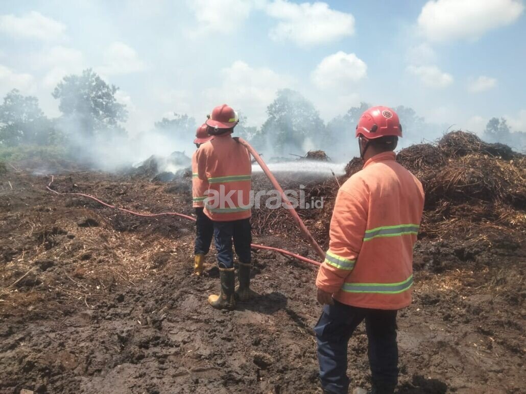 Lahan Terbakar di PPU