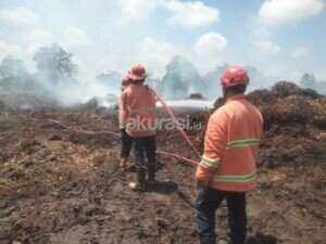 Lahan Terbakar di PPU
