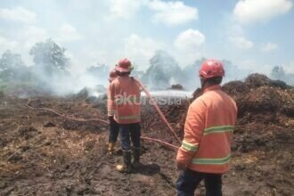 Lahan Terbakar di PPU