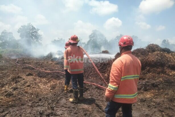 Lahan Terbakar di PPU
