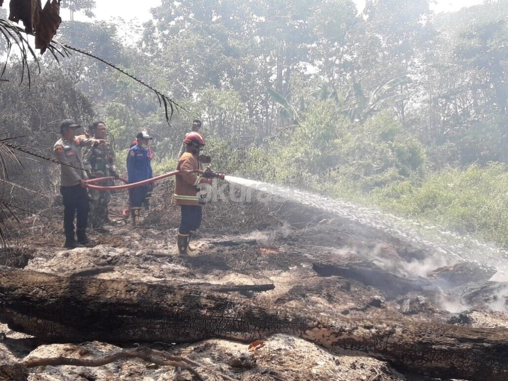 1.487 Hotspot Terdeteksi di Kalimantan