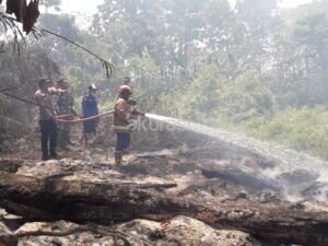 1.487 Hotspot Terdeteksi di Kalimantan