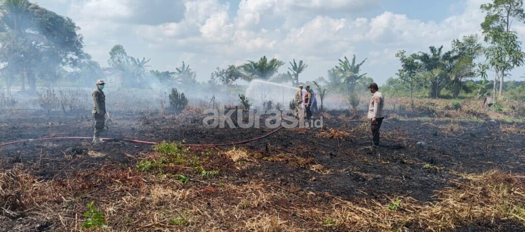 Kebakaran Lahan PPU
