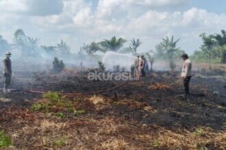 Kebakaran Lahan PPU