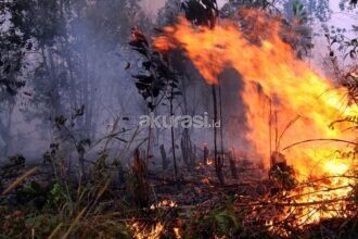 Karhutla Kepung Kalimantan