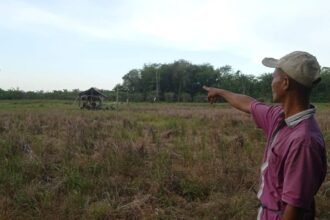 DPRD Samarinda Dorong Pemanfaatan Lahan Terbengkalai untuk Pertanian