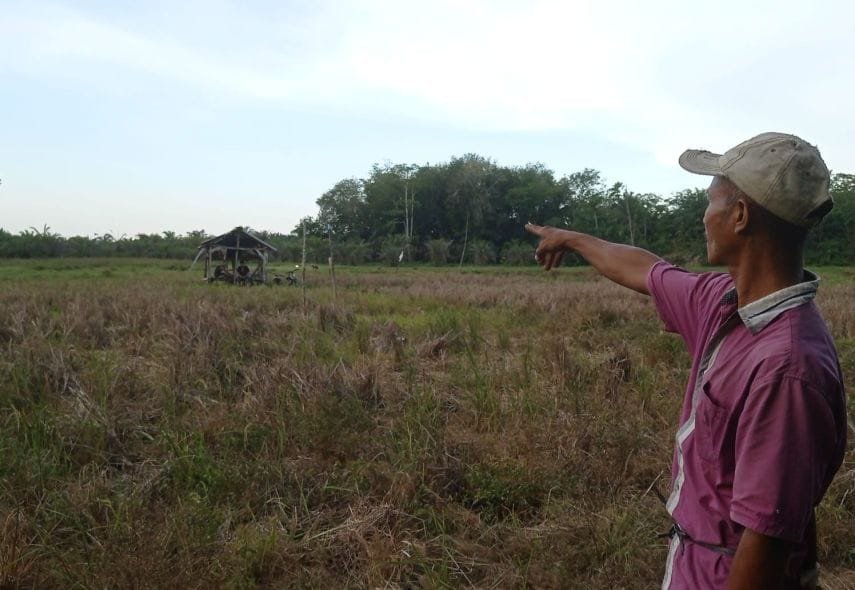 DPRD Samarinda Dorong Pemanfaatan Lahan Terbengkalai untuk Pertanian
