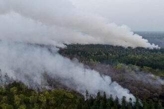 Daftar Kebakaran Hutan di Kalimantan 2026, Kalteng dan Kalbar Terparah