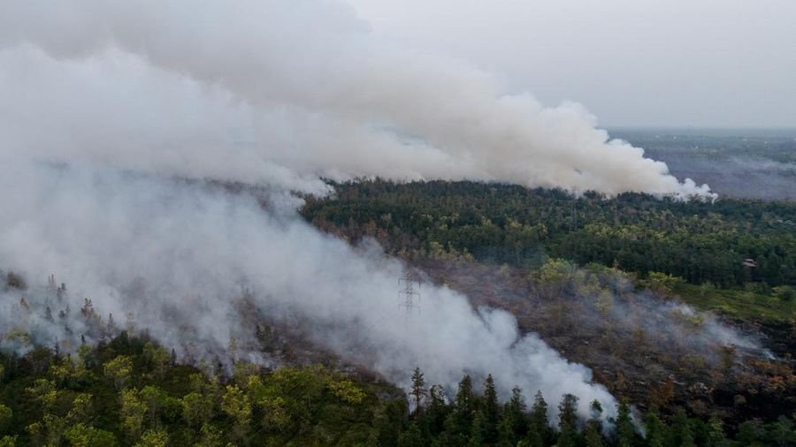 Daftar Kebakaran Hutan di Kalimantan 2026, Kalteng dan Kalbar Terparah