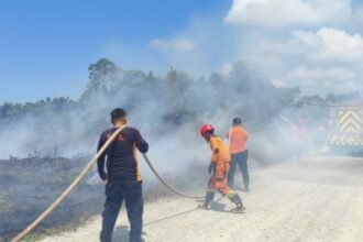 kebakaran lahan saloloang