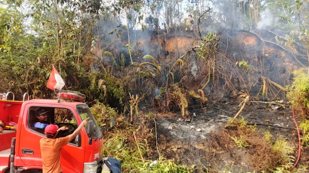 kebakaran lahan