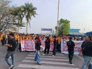 Aliansi Masyarakat Kaltim