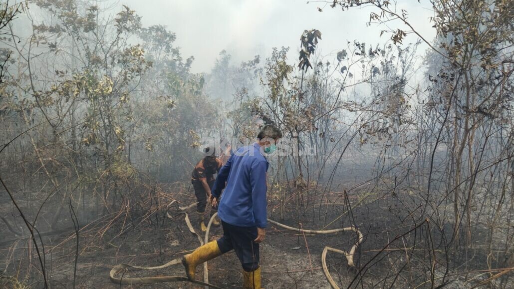 Karhutla Pondok Belanda PPU