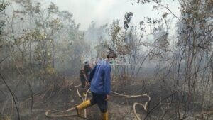 Karhutla Pondok Belanda PPU
