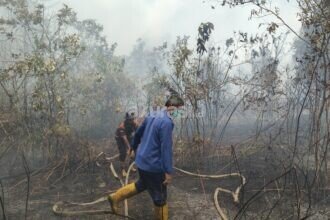 Karhutla Pondok Belanda PPU