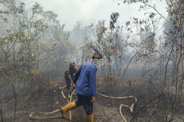 Karhutla Pondok Belanda PPU