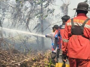 Karhutla Kaltim Makin Meluas