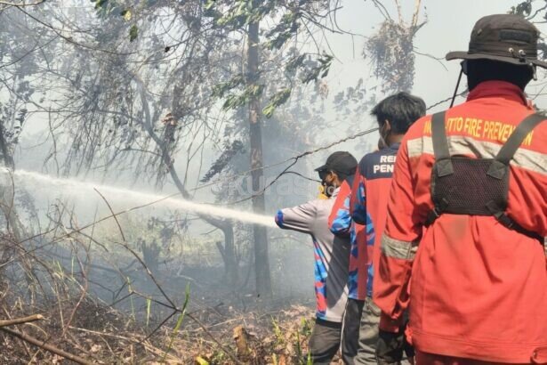 Karhutla Kaltim Makin Meluas
