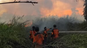 Karhutla di Samarinda