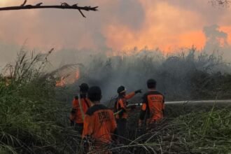 Karhutla di Samarinda