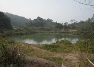 Kolam Eks Tambang Kaltim