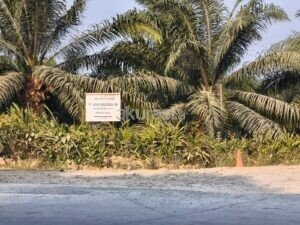 Direktur PT Agro Indomas