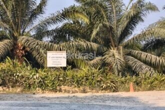 Direktur PT Agro Indomas