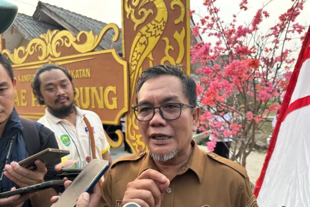 Distanak Kukar Pilih Ayam Pullet