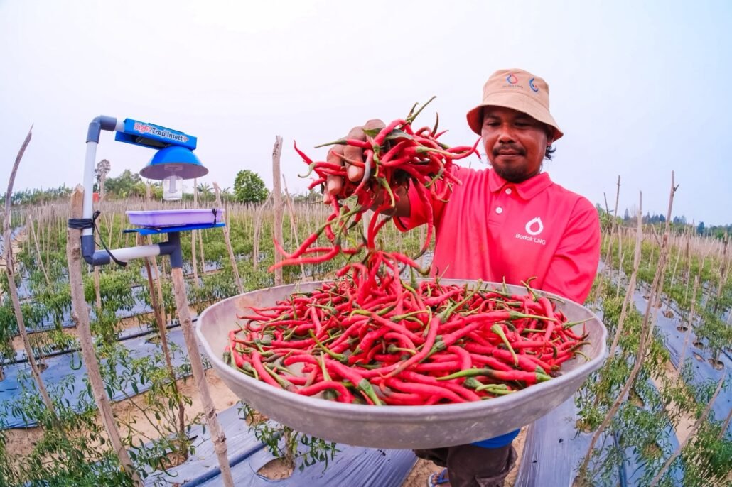 Kampung Hortikultura, Kelurahan Gunung Elai
