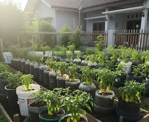 Tekan Kemiskinan dan Inflasi