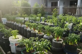 Tekan Kemiskinan dan Inflasi