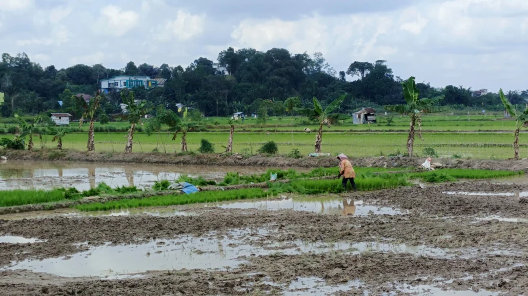 Joha Fajal Akui Ada Tren Penurunan Kawasan Pertanian di Kota Samarinda Imbas Perluasan Area Pemukiman