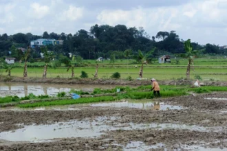 Joha Fajal Akui Ada Tren Penurunan Kawasan Pertanian di Kota Samarinda Imbas Perluasan Area Pemukiman