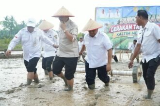 PPU Genjot Hasil Pertanian Padi, Bidik 10 Ton Setiap Hektare Lewat PM AAS