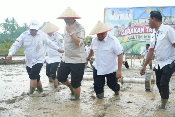 PPU Genjot Hasil Pertanian Padi, Bidik 10 Ton Setiap Hektare Lewat PM AAS