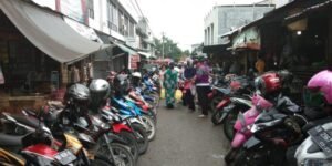 pPU