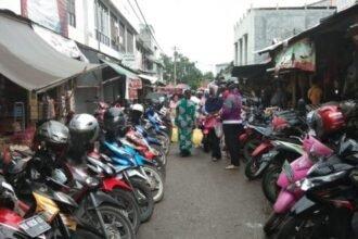 pPU