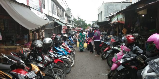 pPU